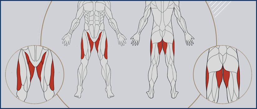 Why Exercising Your Hip Abductors is Important